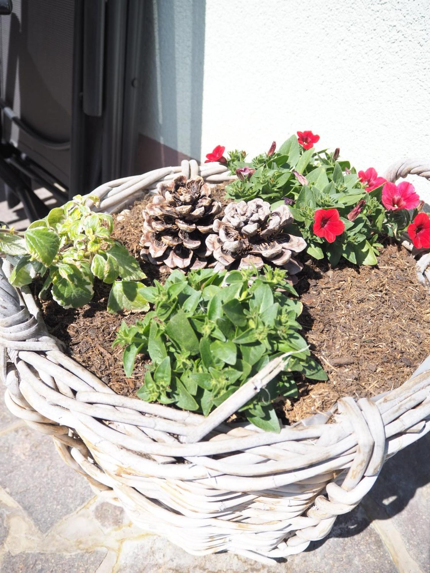 Appartement Felsenheim เวสเทนดอร์ฟ ภายนอก รูปภาพ